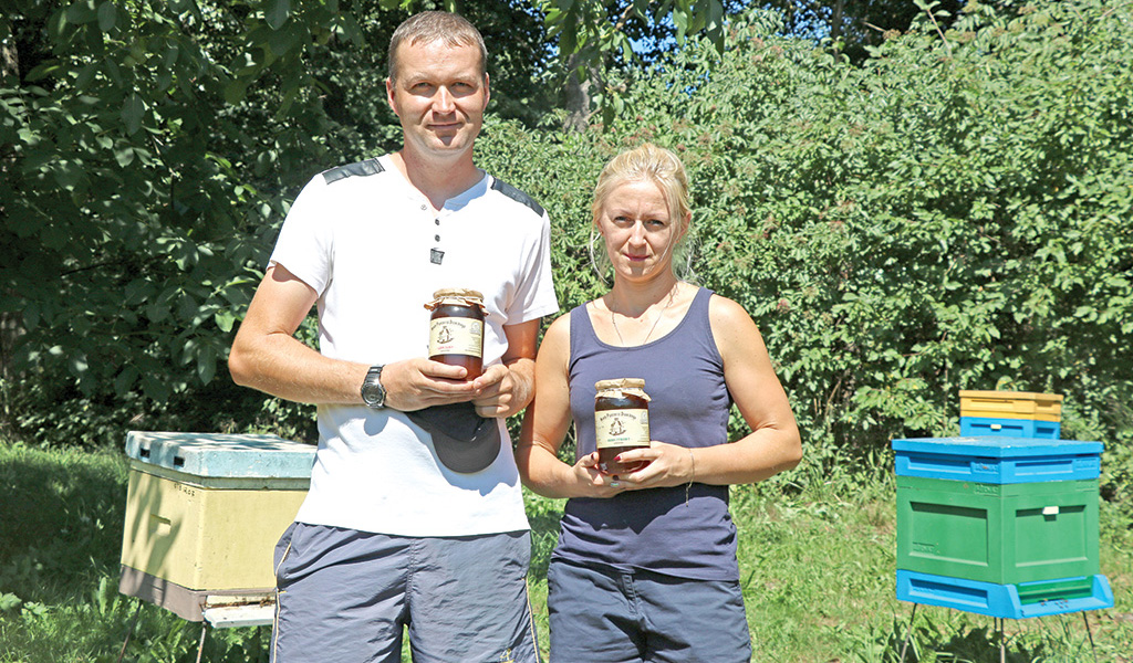 Jak zorganizować dużą pasiekę towarową?