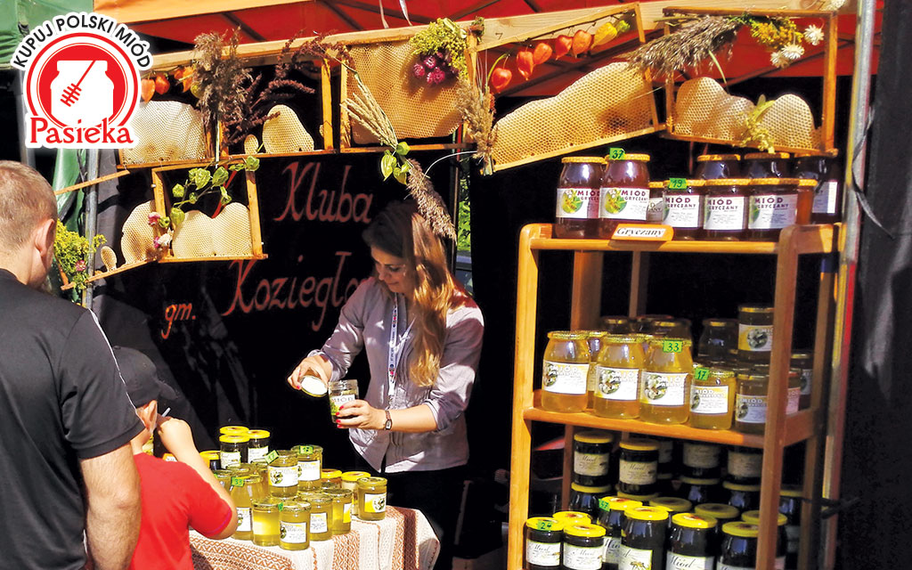 Pasieka nr 94 ([PAS94], marzec-kwiecień 2019, Czestochowa-2015_18853_RD)