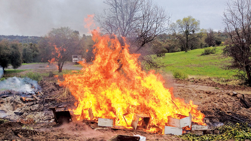 Pasieka nr 94 ([PAS94], marzec-kwiecień 2019, Foul_Brood_Beehives_Jrmgkia)