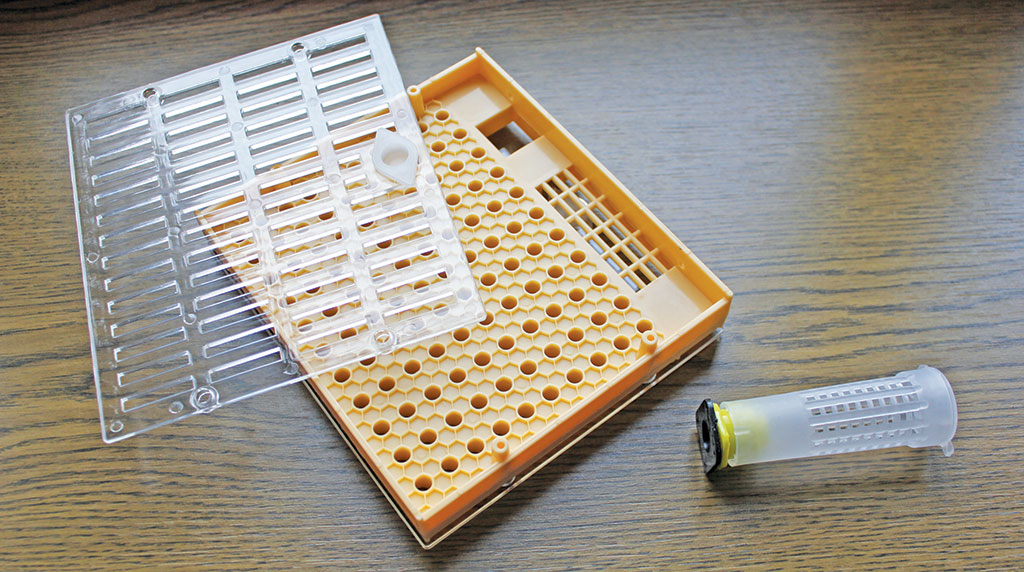 Pasieka nr 94 ([PAS94], marzec-kwiecień 2019, IMG_3479)