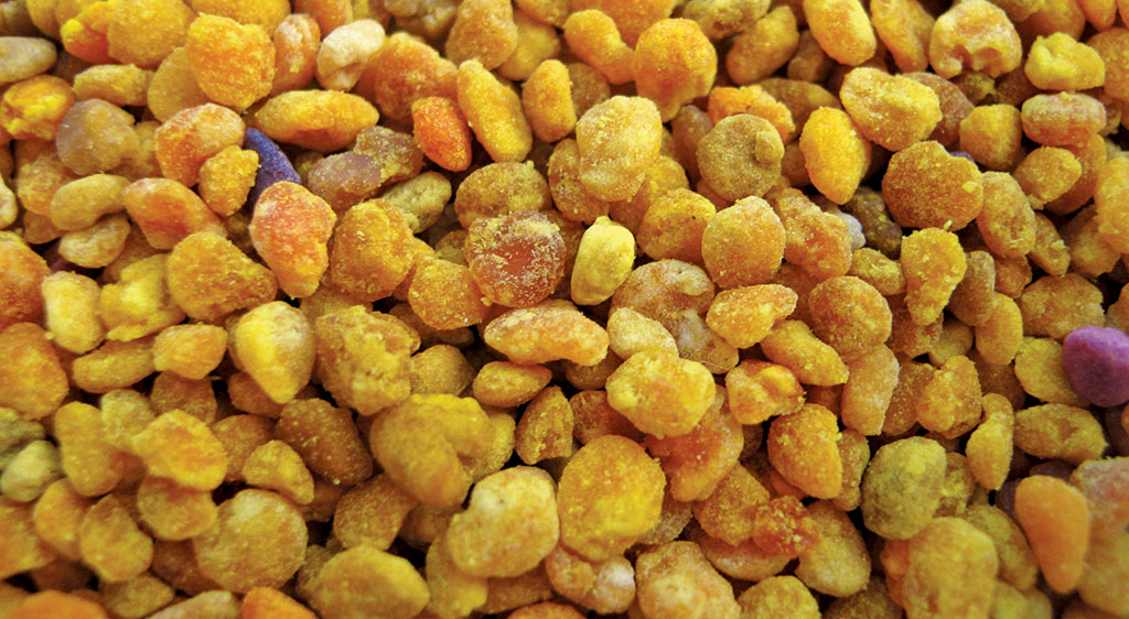 Pasieka nr 94 ([PAS94], marzec-kwiecień 2019, on_pollen-736550)