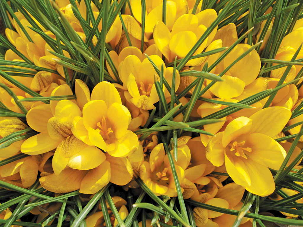 Pasieka nr 94 ([PAS94], marzec-kwiecień 2019, rabaty_07)