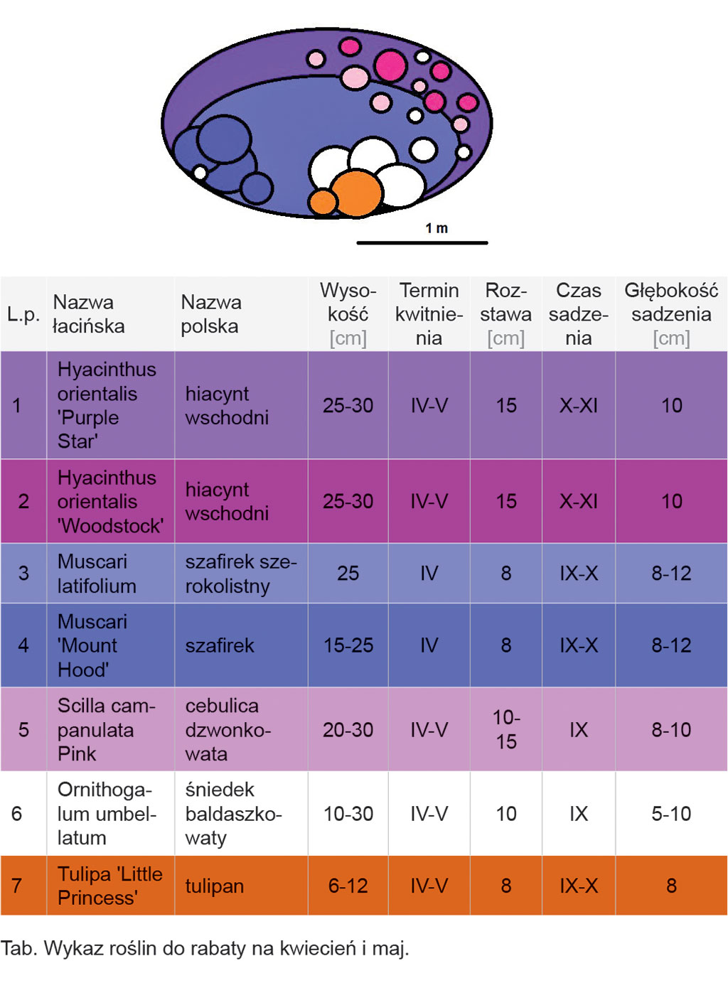 Pasieka nr 94 ([PAS94], marzec-kwiecień 2019, rabaty_Rabata_3_do_art_janickiej_rosliny_cebulowe)