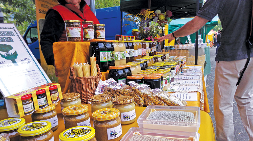 Pasieka nr 95 ([PAS95], maj - czerwiec 2019, Czestochowa-2015_5461_RD)