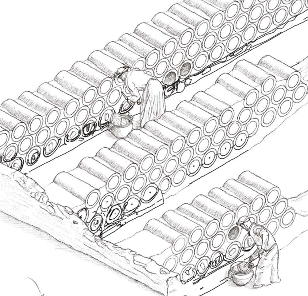 Pasieka nr 95 (ule-eliasza_El)