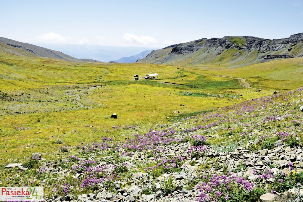 kanada_wielkie_rowniny 