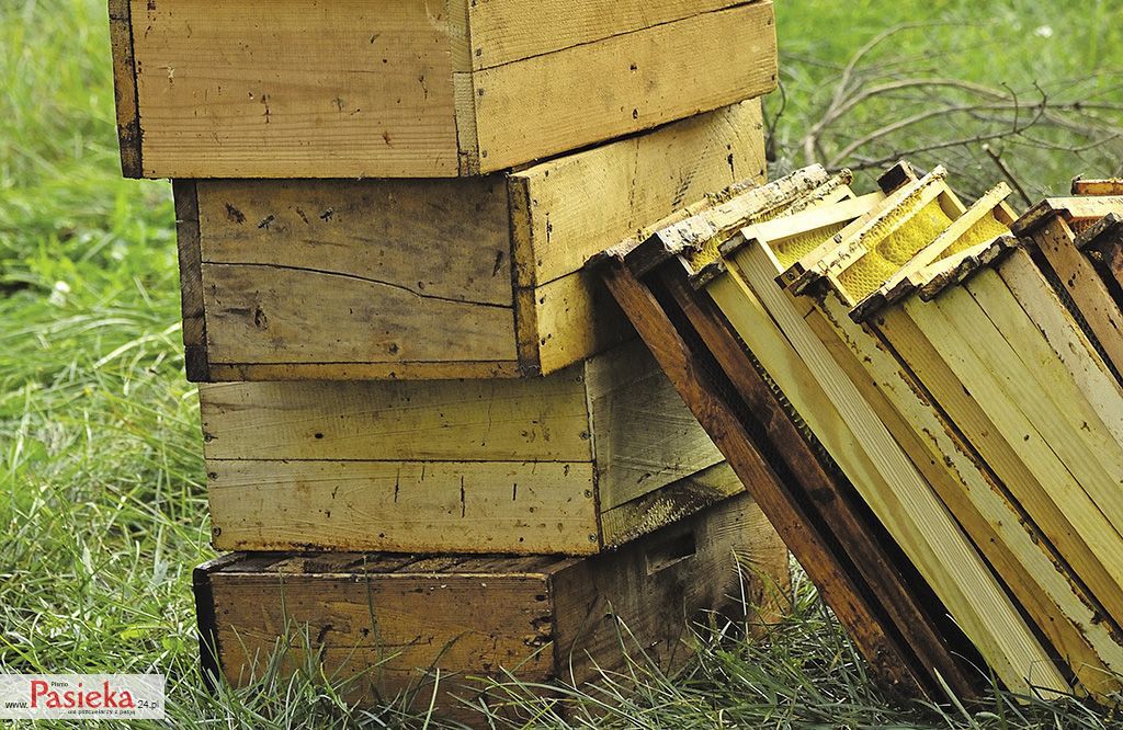 _DSC1997%20-%20Katarzyna%20Judycka