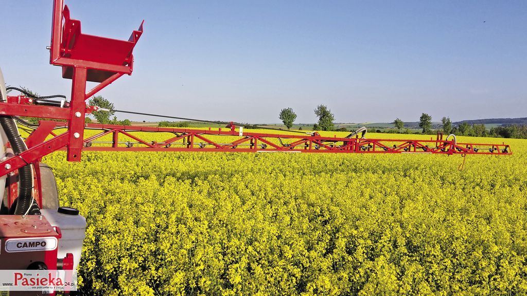 Bezpieczeństwo zapylaczy i ochrona roślin – wspólna odpowiedzialność