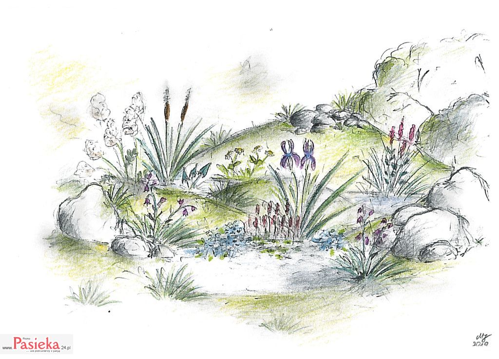 3__Kolorowa_mozaika_siedlisk%2c_rys__M__Janicka