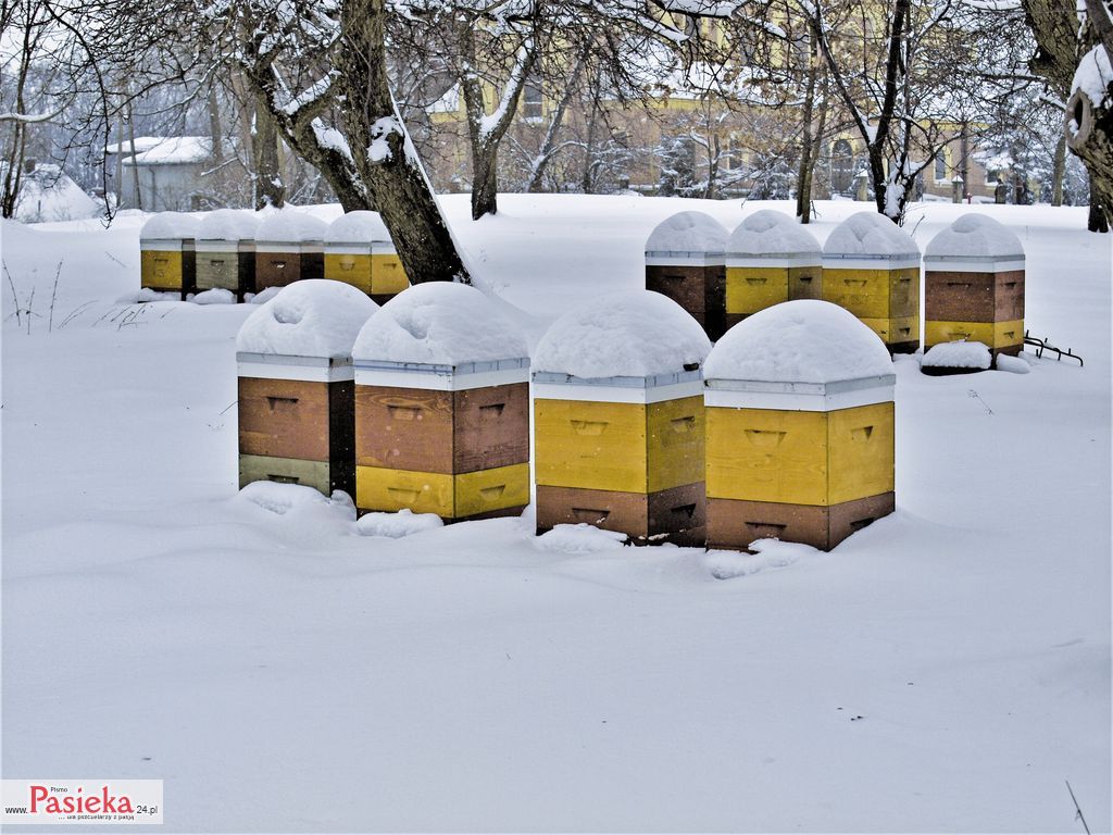 Fot_1_fot_tytulowe_P1010724