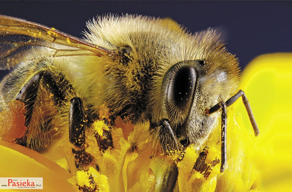 To, co dla nas najważniejsze