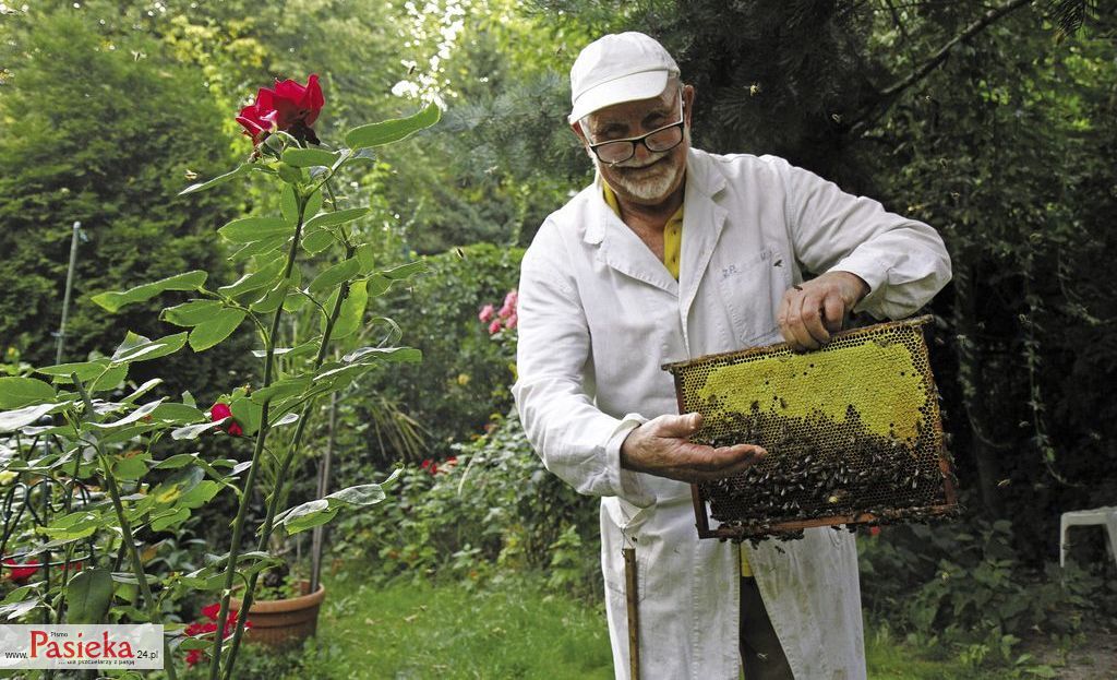 O profesorze Woyke i kilku jego odkryciach