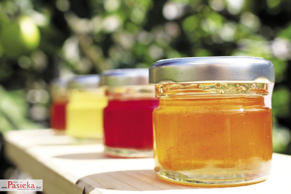 Badania nad aktywnością antybiotyczną polskich miodów odmianowych