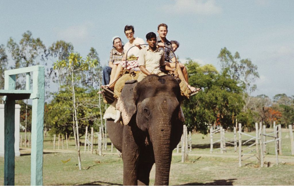 O profesorze Woyke i kilku jego odkryciach, cz. 2.