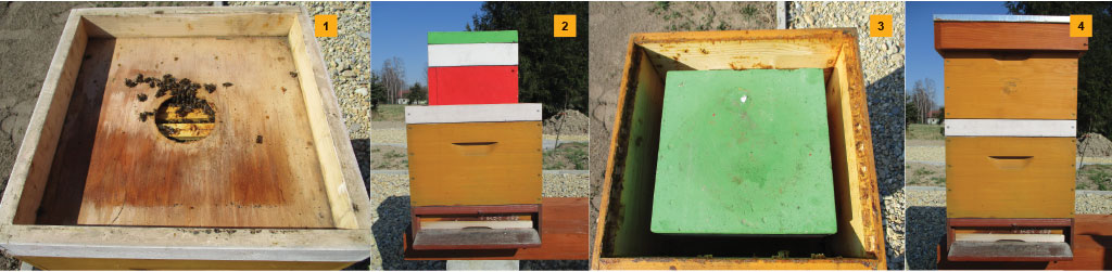 Całoroczna gospodarka pasieczna, cz. 6.