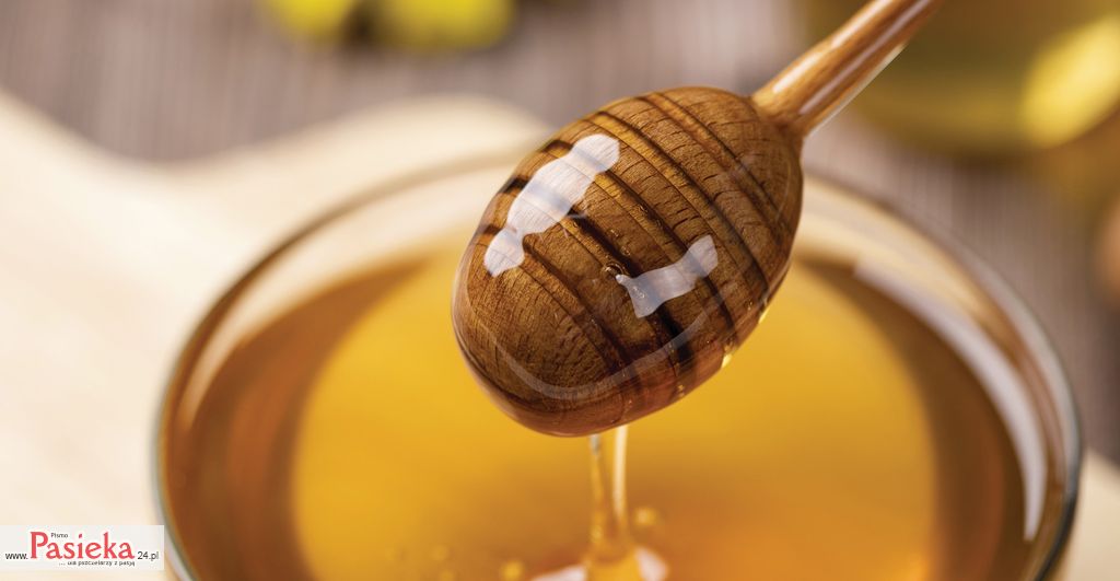 Występowanie witamin rozpuszczalnych w wodzie w produktach pszczelich