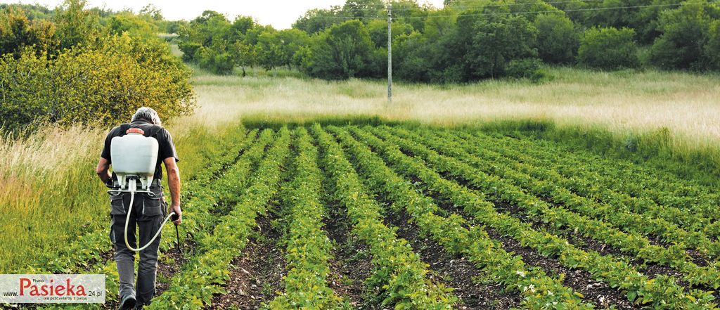 Pszczoły i pestycydy. Postępowanie pszczelarza w obliczu zagrożenia, cz. 3.