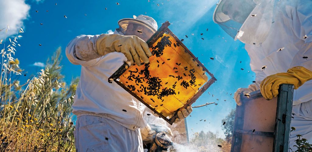 Nowoczesna pasieka w dobie wyzwań zmieniającego się świata