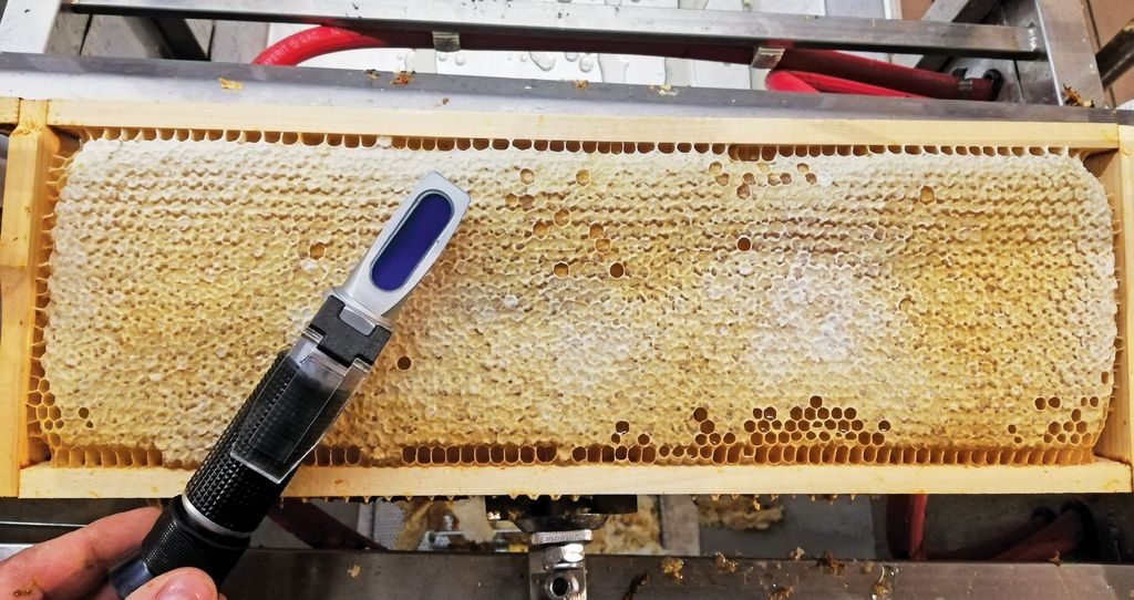 Przy okazji miodobrania…