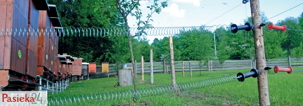 Kradzież uli i pszczół, zniszczenia lub uszkodzenia uli, zatrucie rodzin pszczelich – podstawowe zagadnienia prawne