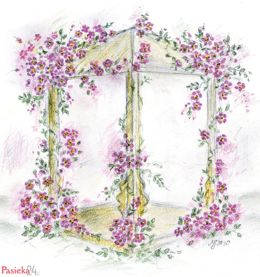 Róże pnące w ogrodach dla pszczół 	