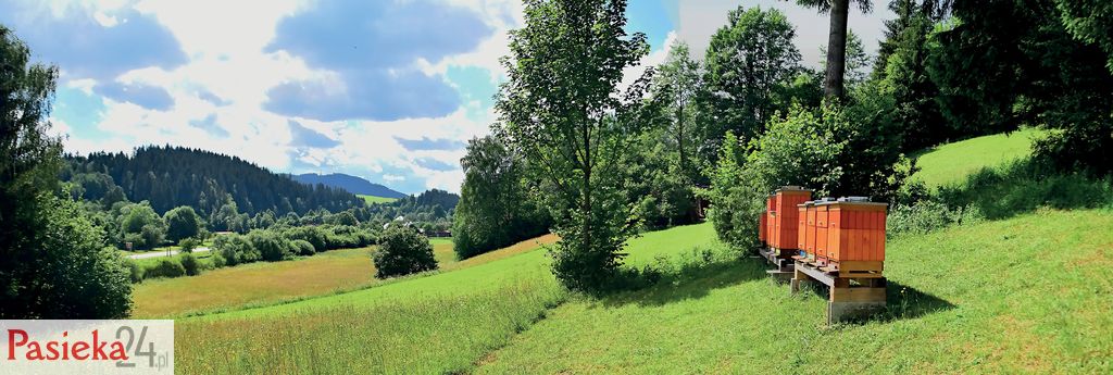 Jaki ul jest najlepszy? Cz. 1.