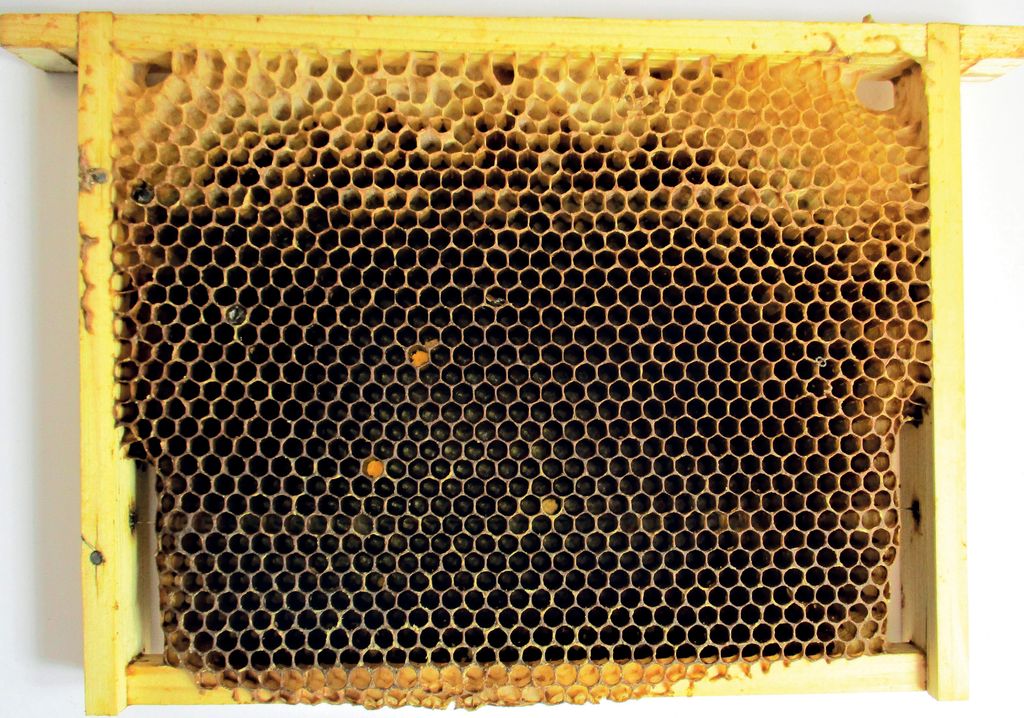 Mini plus – bardziej mini czy plus?