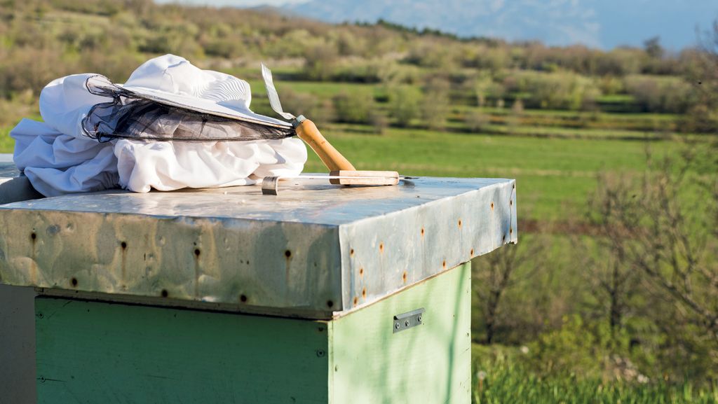 Ty nasz sezonie miniony!