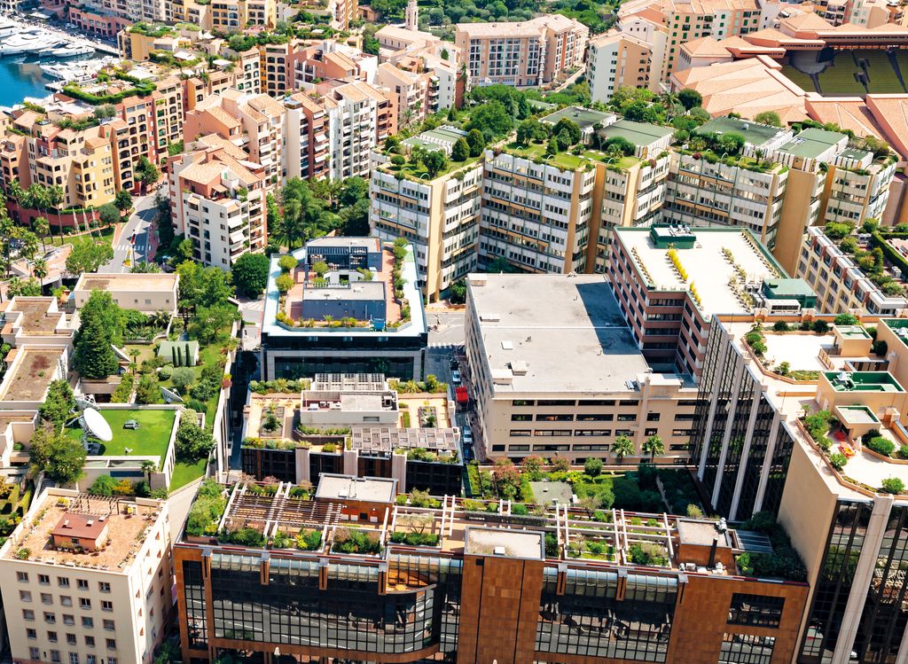 Zielone dachy i zielone ściany pyłko- i nektarodajne