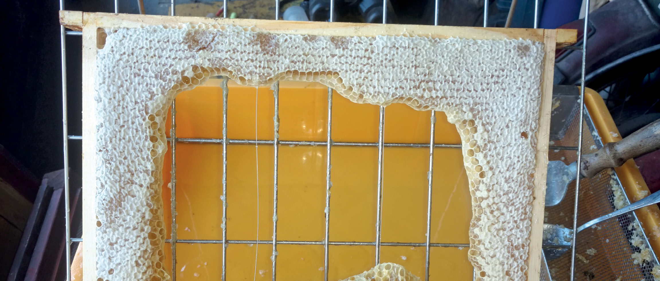 Czy warto sprawdzać jakość wosku i węzy?