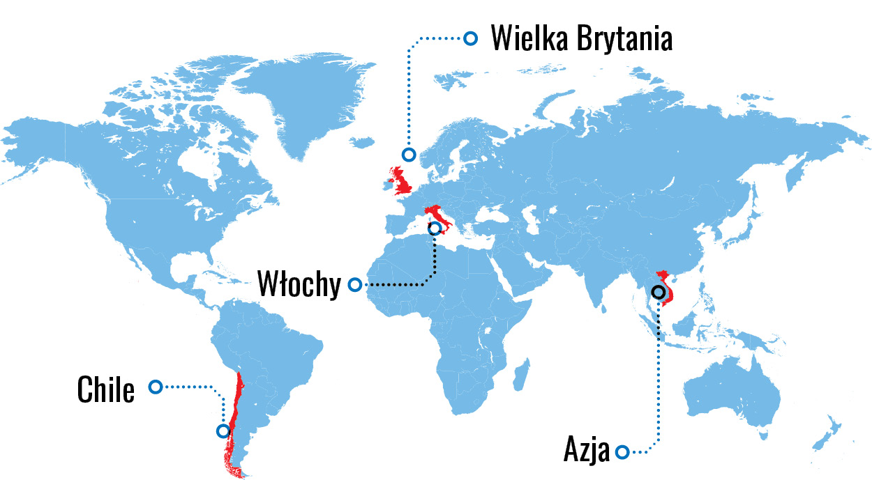 W telegraficznym skrócie