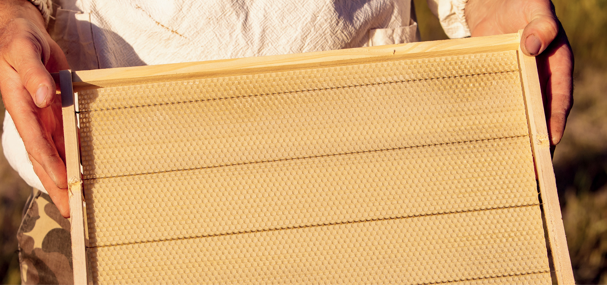 Jakość wosku i węzy na krajowym rynku