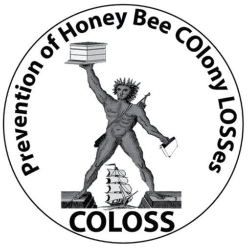 Jak pszczelarze zdobywają wiedzę? Wyniki ankiety pt. „Łączenie nauki i praktyki”