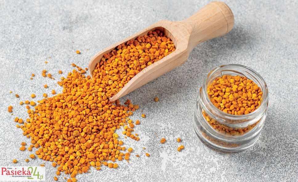 Dostępność biologiczna pyłku kwiatowego zbieranego przez pszczoły