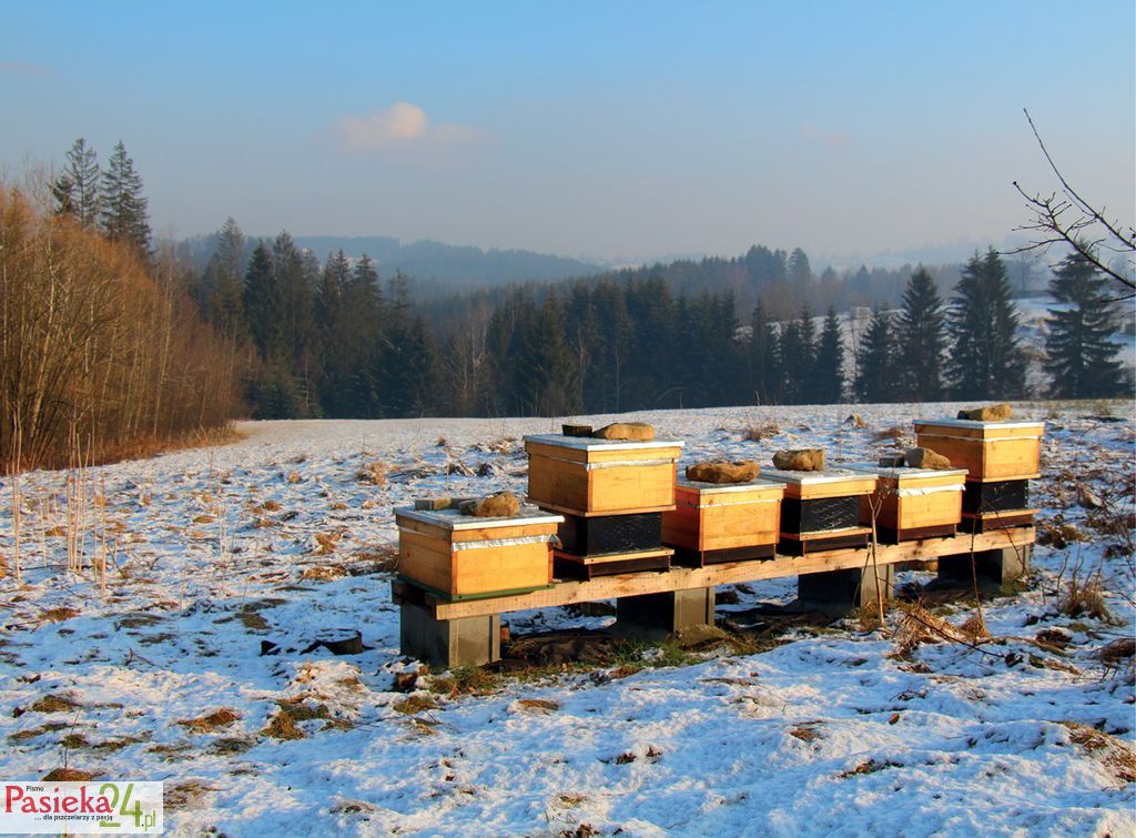 Rok 2022 – jaki był?