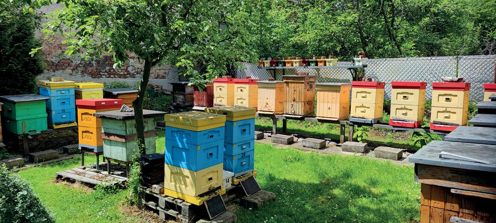 Wyniki konkursu o 5000 zł (2023)