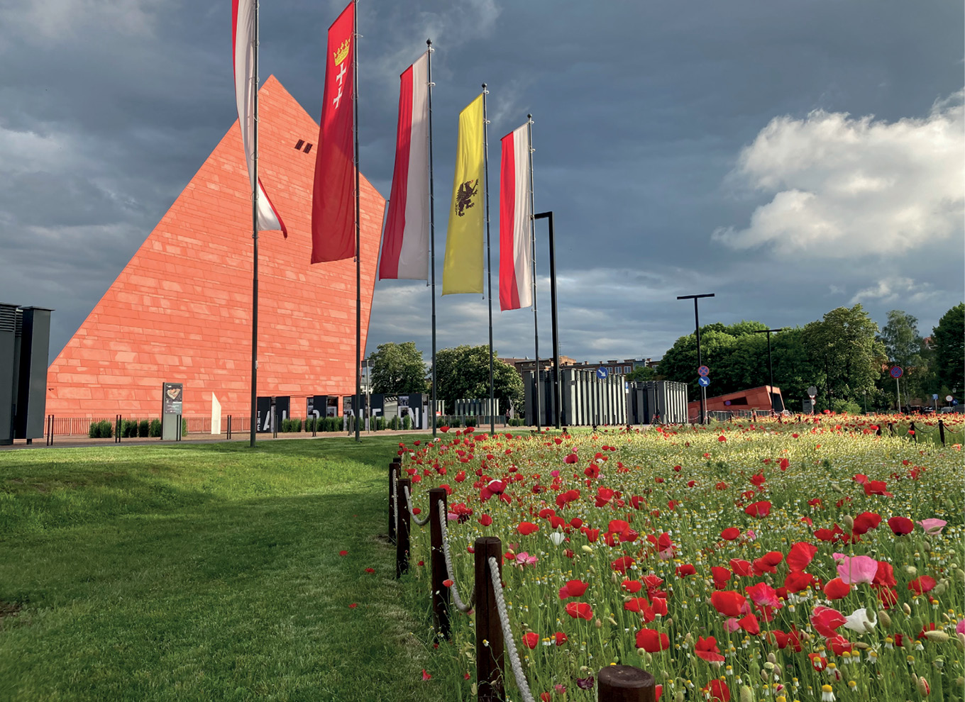 Zakładanie i pielęgnacja miejskich łąk kwietnych