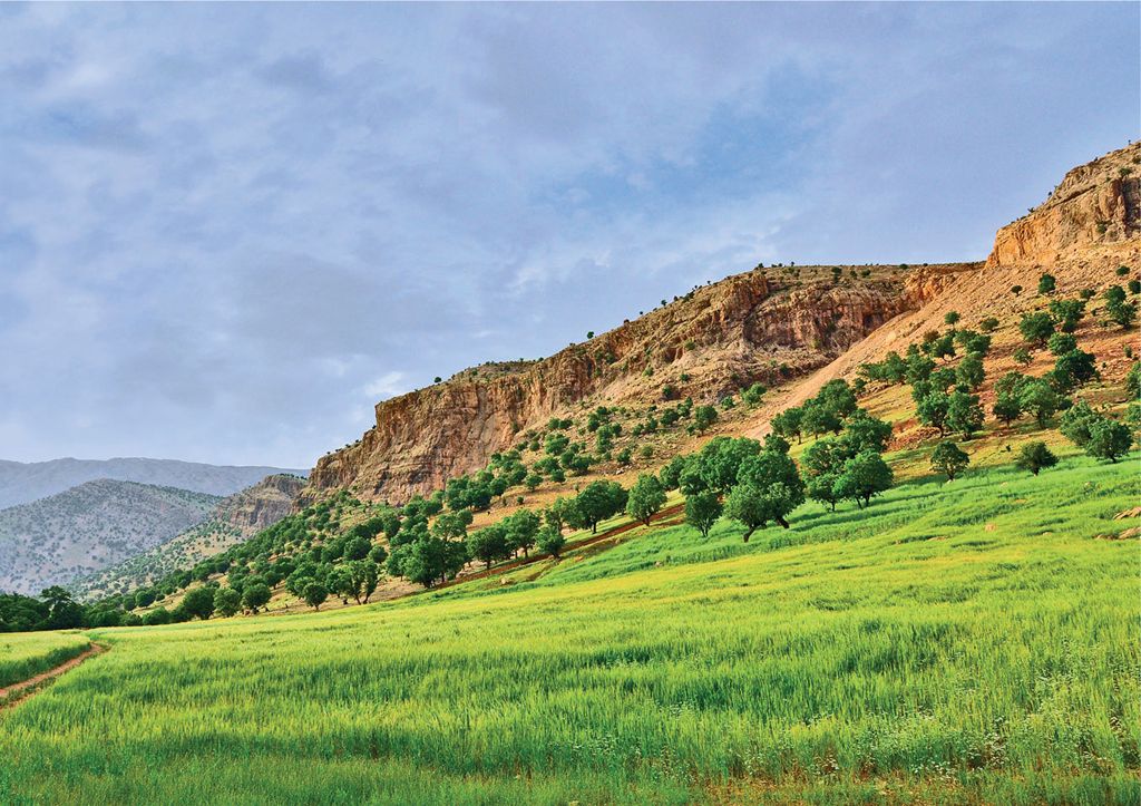 Pszczelarstwo w Iranie, cz. 1.