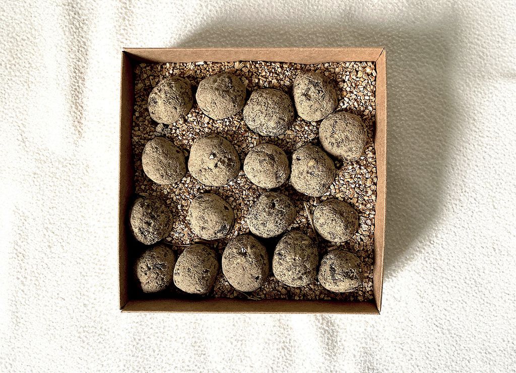 Bomby kwietne nie tylko do pasieki