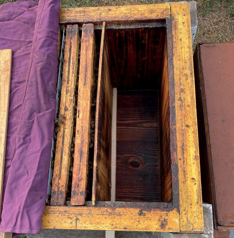 Mój sposób na poddawanie matek pszczelich