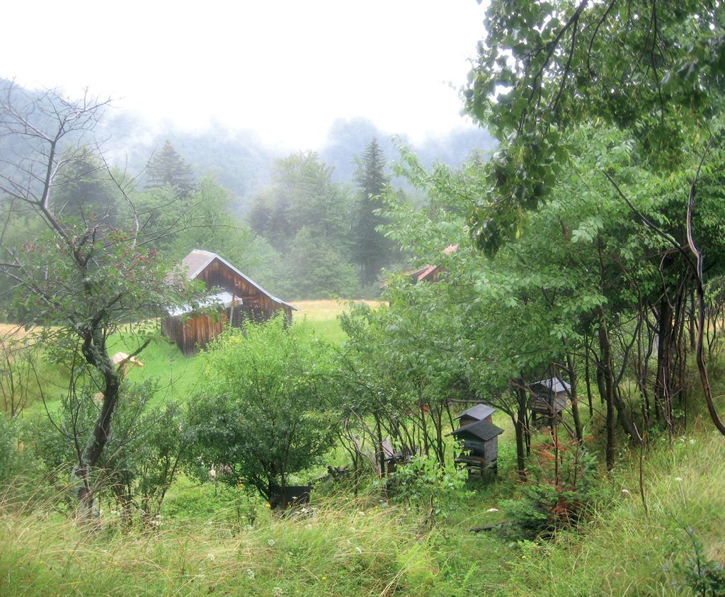 Wzbogacanie bazy pokarmowej: rabaty z natury – szlak na Złotułki