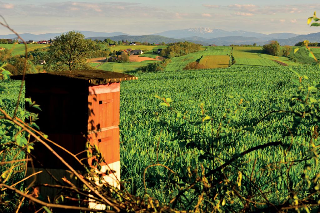 Ekopasieka, czyli czym jest pasieka ekologiczna i jakie prawo stawia wobec niej warunki, cz. 1.