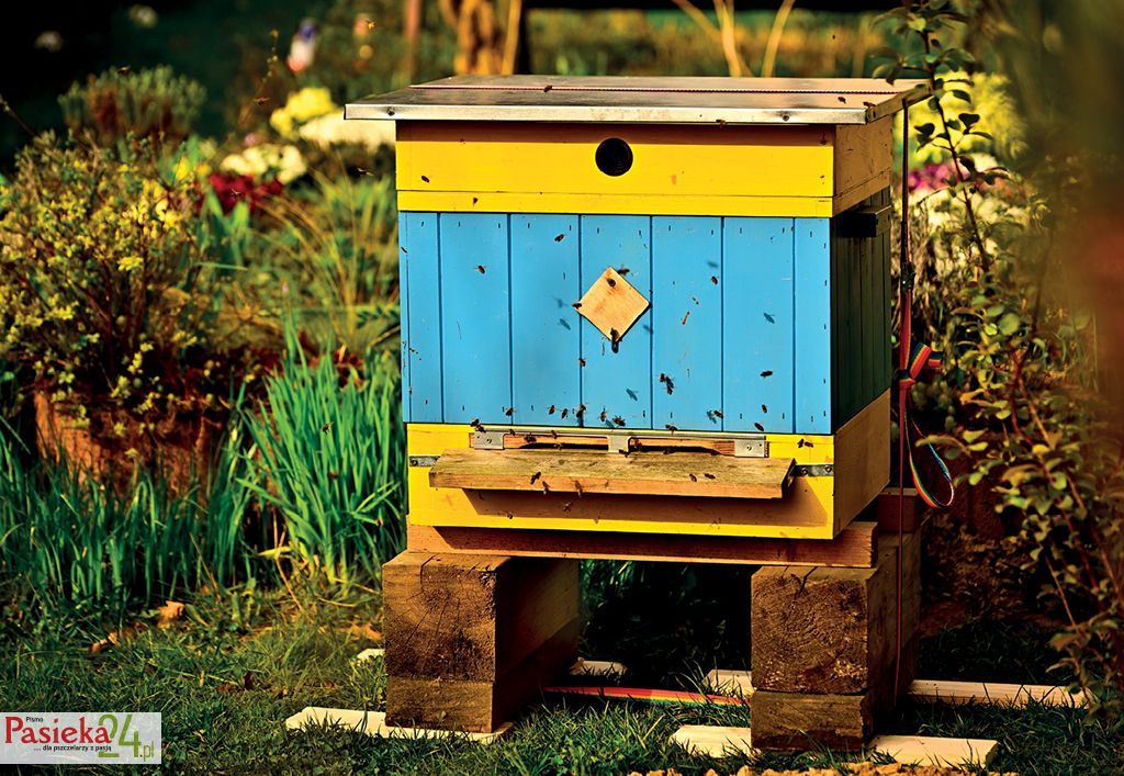 Ekopasieka, czyli czym jest pasieka ekologiczna i jakie prawo stawia wobec niej warunki, cz. 2.