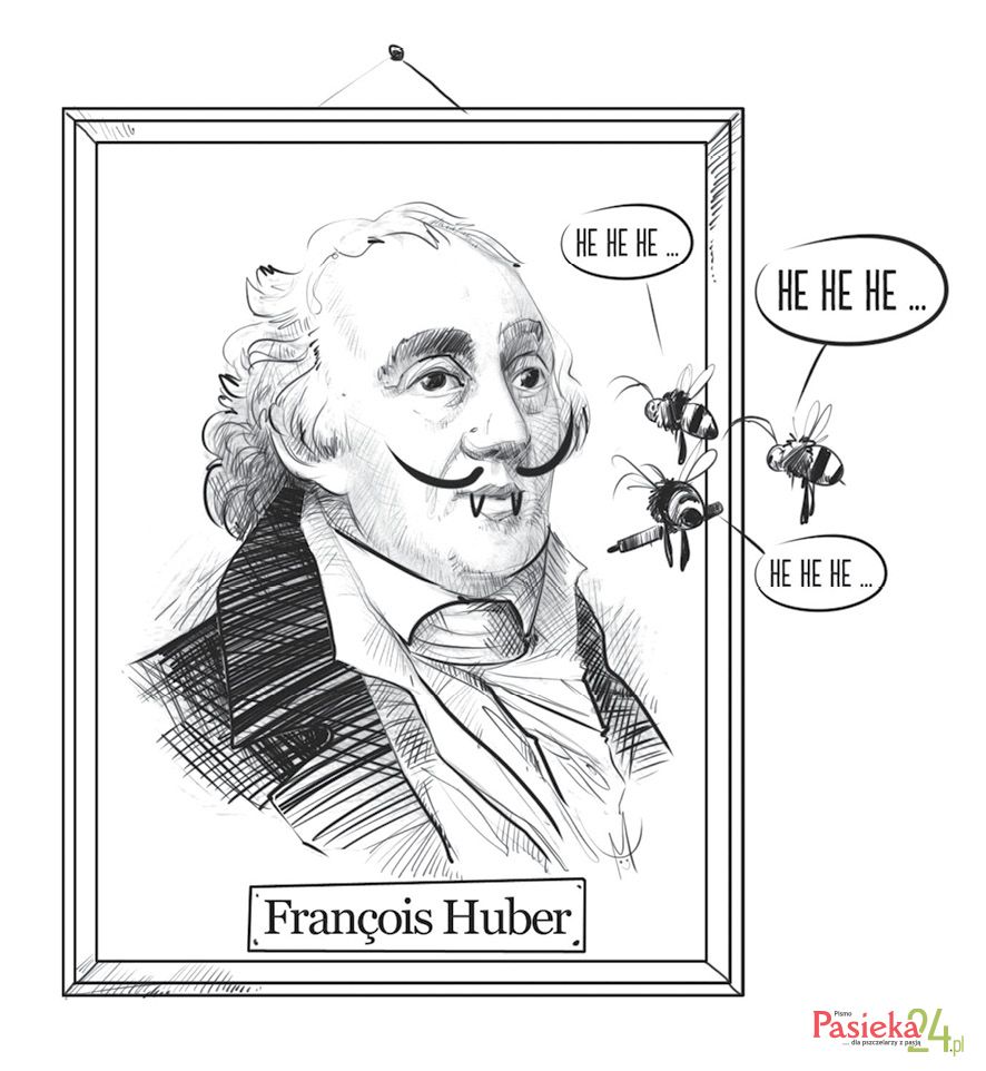 Instynkt czy geniusz? Oto jest pytanie...