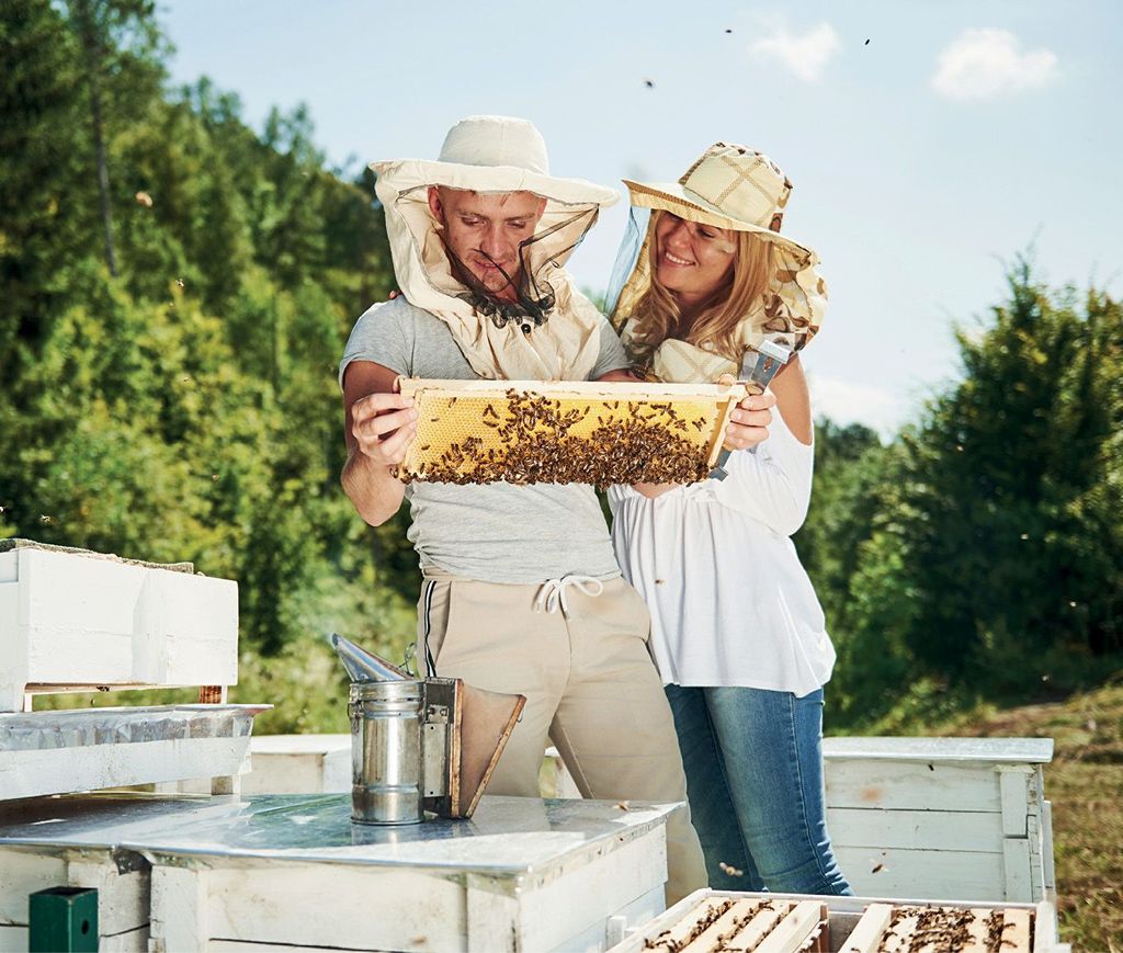 Czy polscy pszczelarze są szczęśliwi?