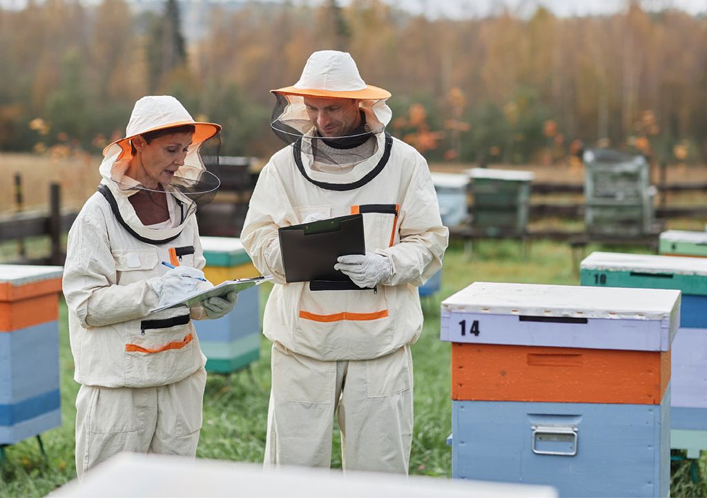 Czy każdy może być naukowcem? Zgłoś się i pomóż w realizacji europejskich badań pszczół! 