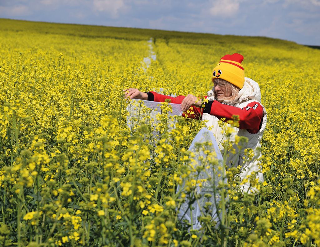 Czy aktualnie uprawiane odmiany rzepaku ozimego nektarują?