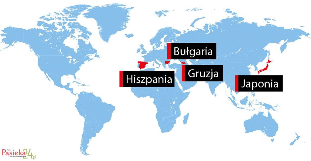 W telegraficznym skrócie