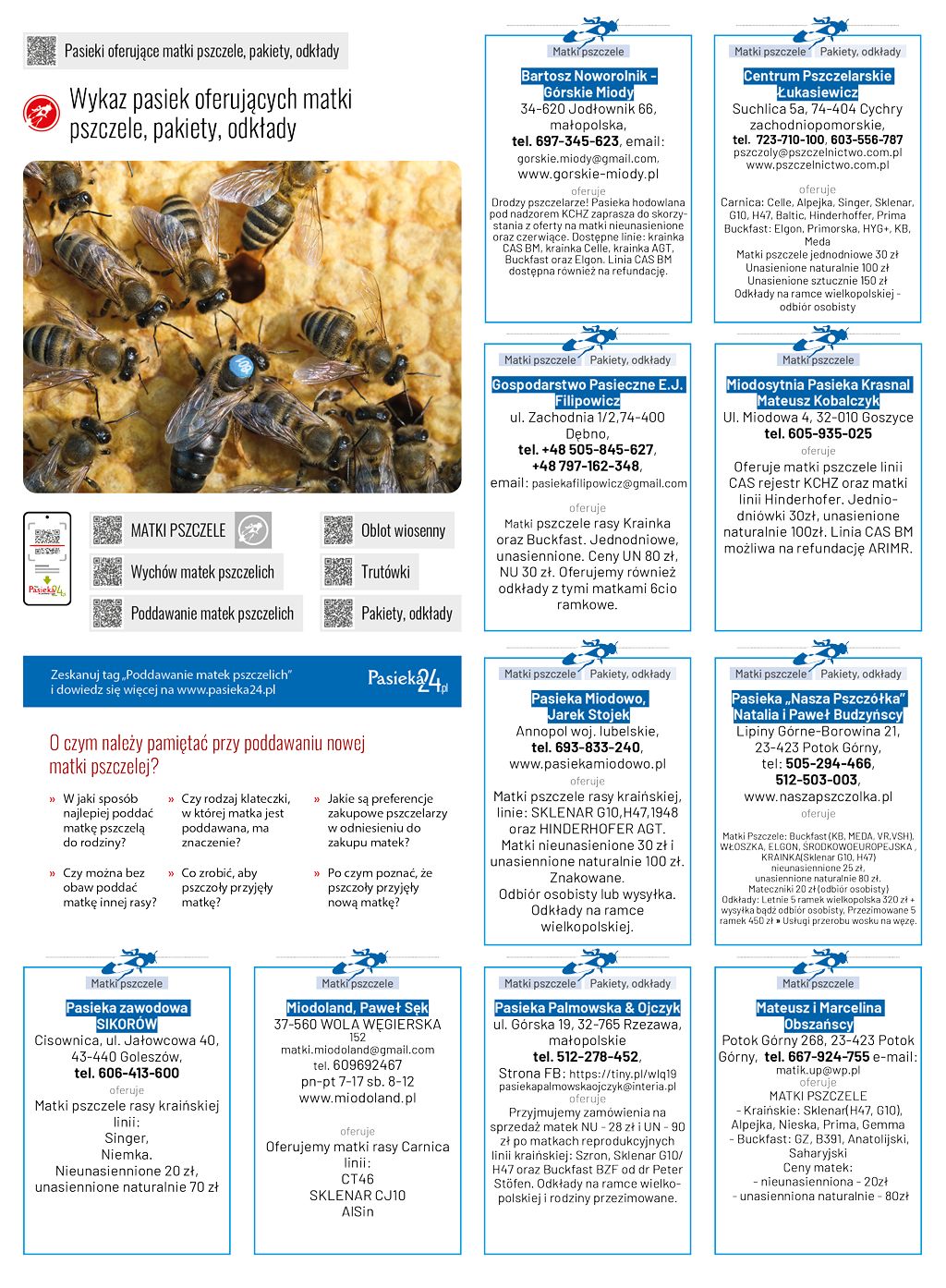 Wykaz pasiek oferujących matki pszczele, pakiety, odkłady (lipiec-sierpień 2025)