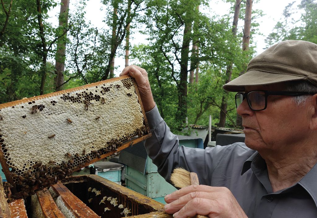 Ekonomiczna ocena gospodarki pasiecznej w sezonie 2023/24 i odniesienie jej do sezonów 2008/09 i 1973/74
